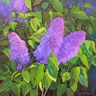 1_LMP-06-909-Lilacs