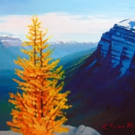 Larch-Lookout