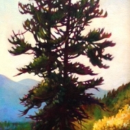 Tree Buddies