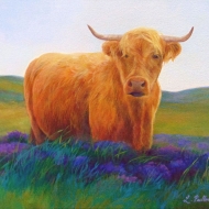 Highland in the Heather