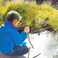Spring Reflections