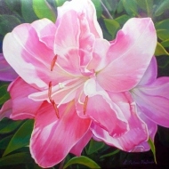 thumbs_Pink-Lily