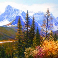 z moraine valley
